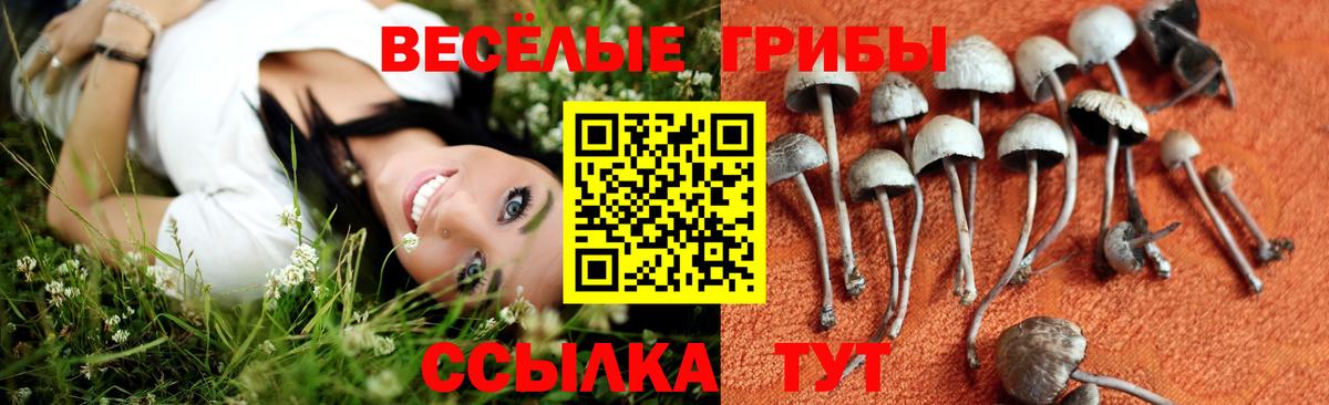 Псилоцибиновые грибы Cubensis  Галлюциногенные грибы Cubensis  Вход с VPN  Пыть-Ях 